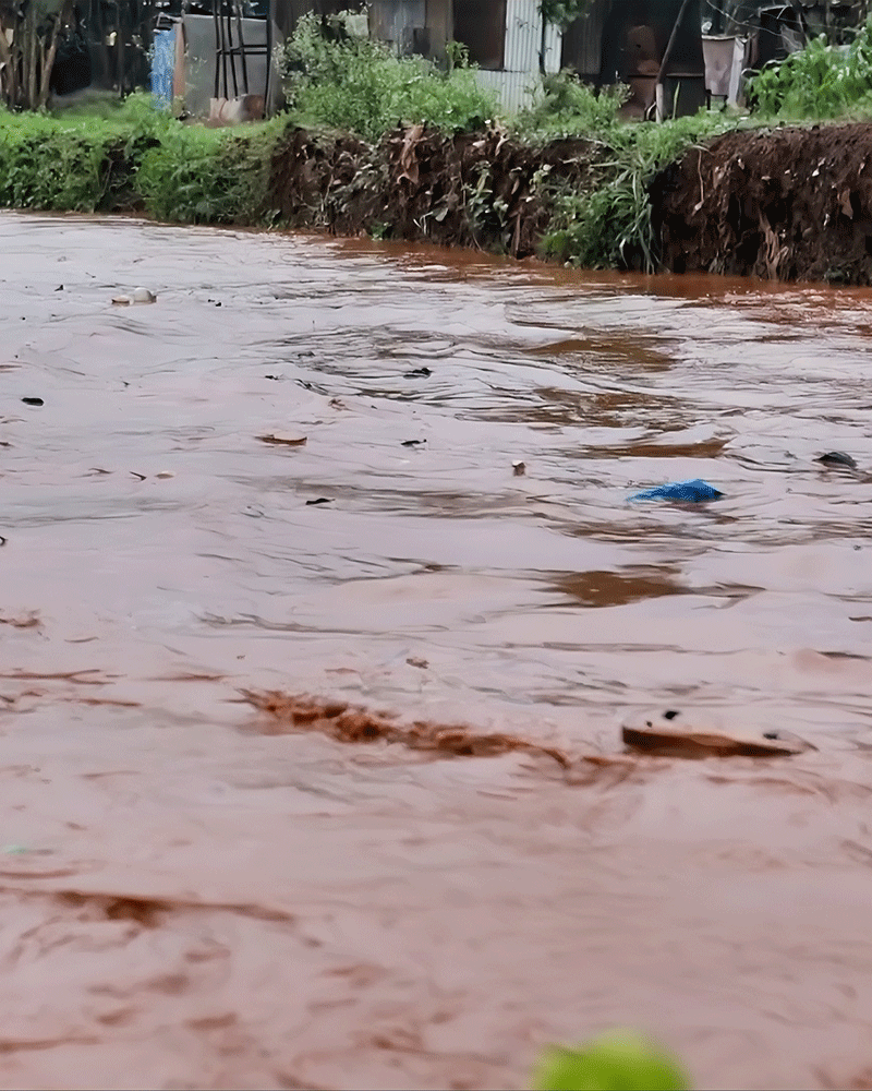 ezy-eco-community-green-future-green-directory-uganda114